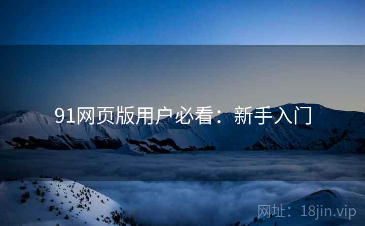 91网页版用户必看：新手入门