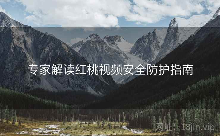 专家解读红桃视频安全防护指南