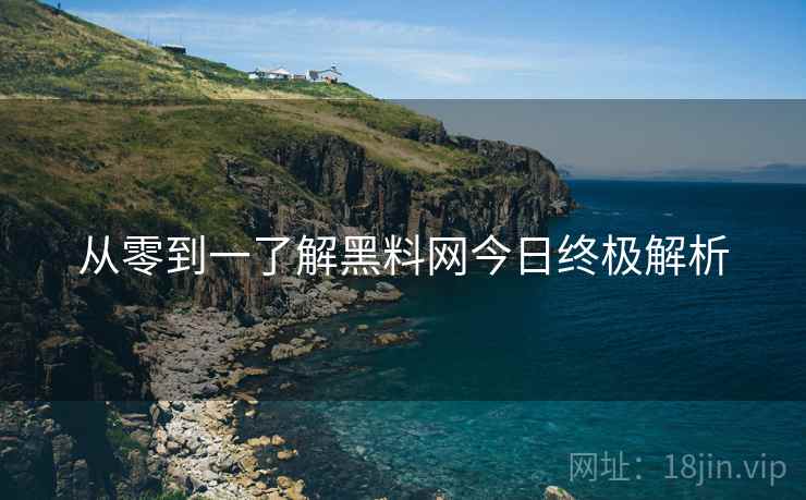 从零到一了解黑料网今日终极解析