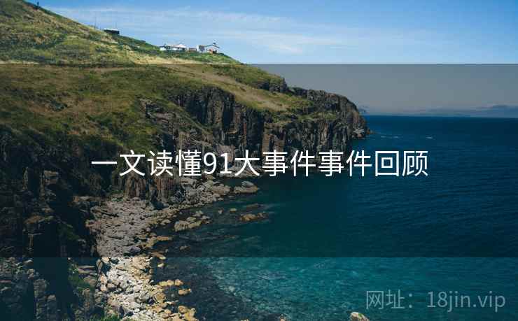 一文读懂91大事件事件回顾