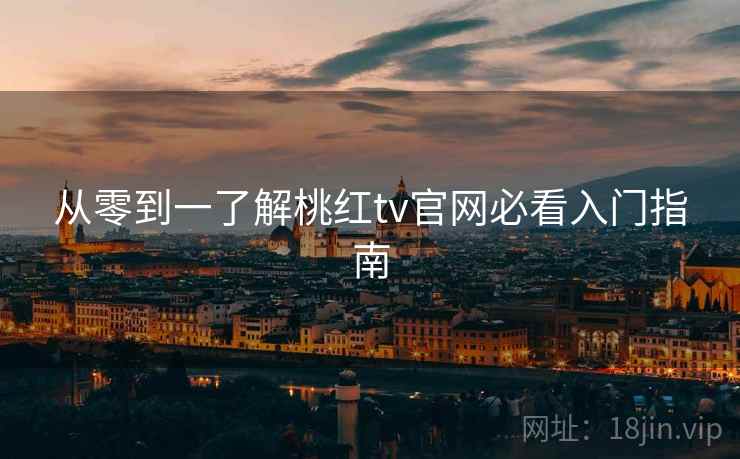 从零到一了解桃红tv官网必看入门指南