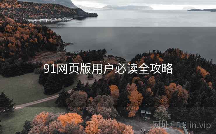 91网页版用户必读全攻略