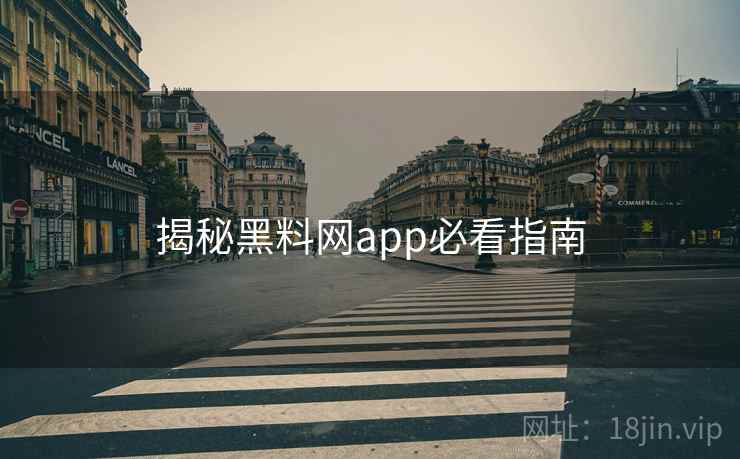 揭秘黑料网app必看指南
