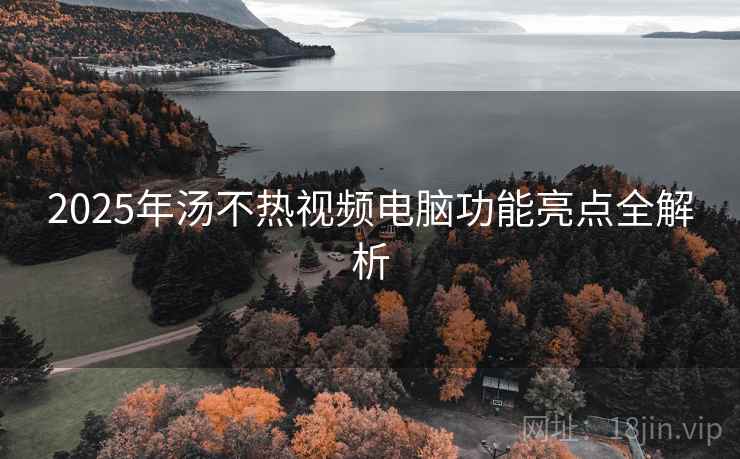 2025年汤不热视频电脑功能亮点全解析