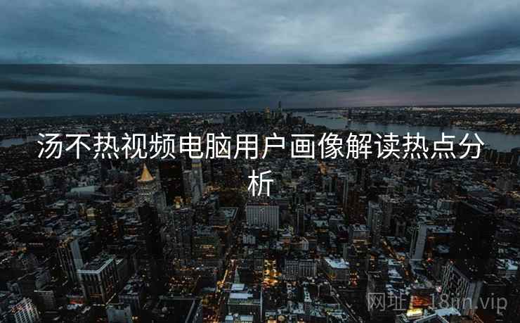 汤不热视频电脑用户画像解读热点分析