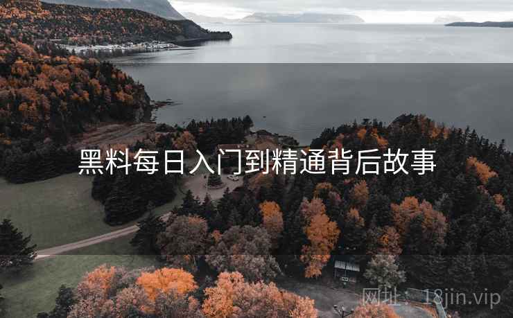 黑料每日入门到精通背后故事