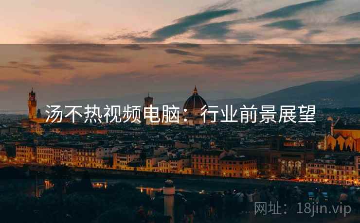 汤不热视频电脑：行业前景展望
