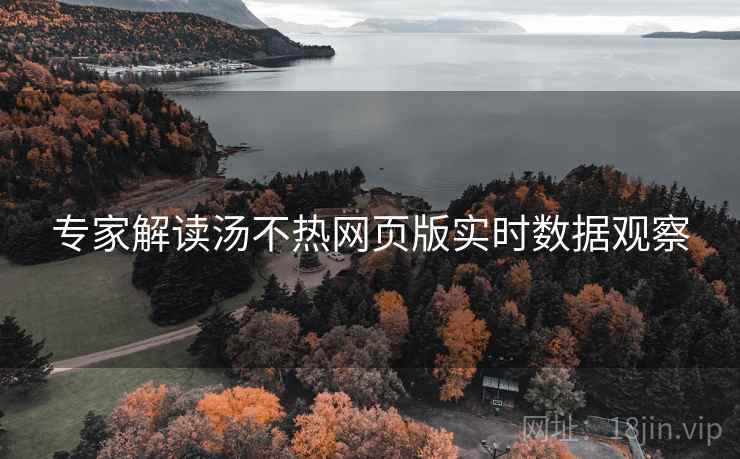 专家解读汤不热网页版实时数据观察