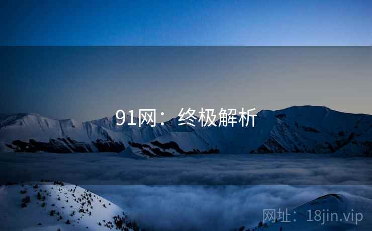91网：终极解析