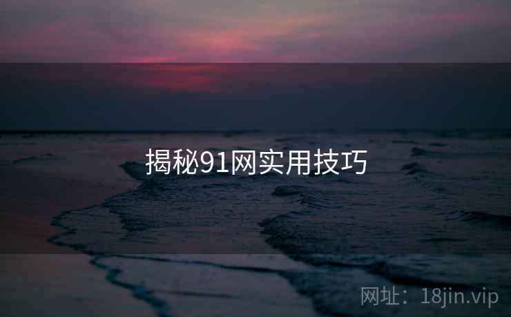 揭秘91网实用技巧